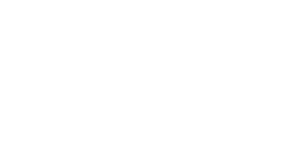 ESDEC logo blanc