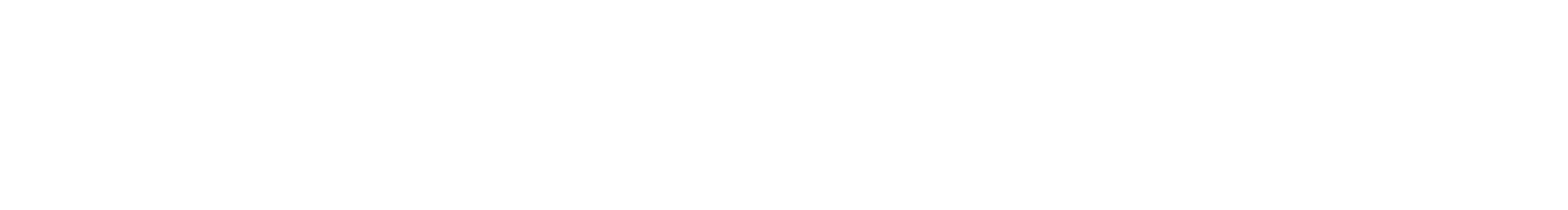 Hikvision_logo blanc