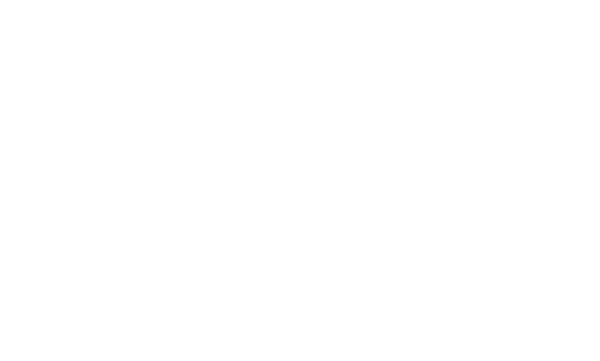 Logo-SPIT blanc